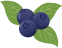 berry.png